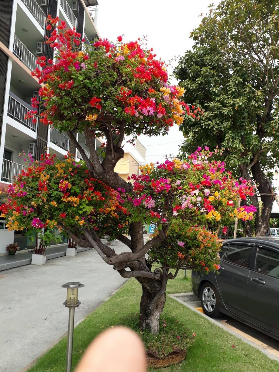Taweesuk Residence Samut Sakhon 외부 사진